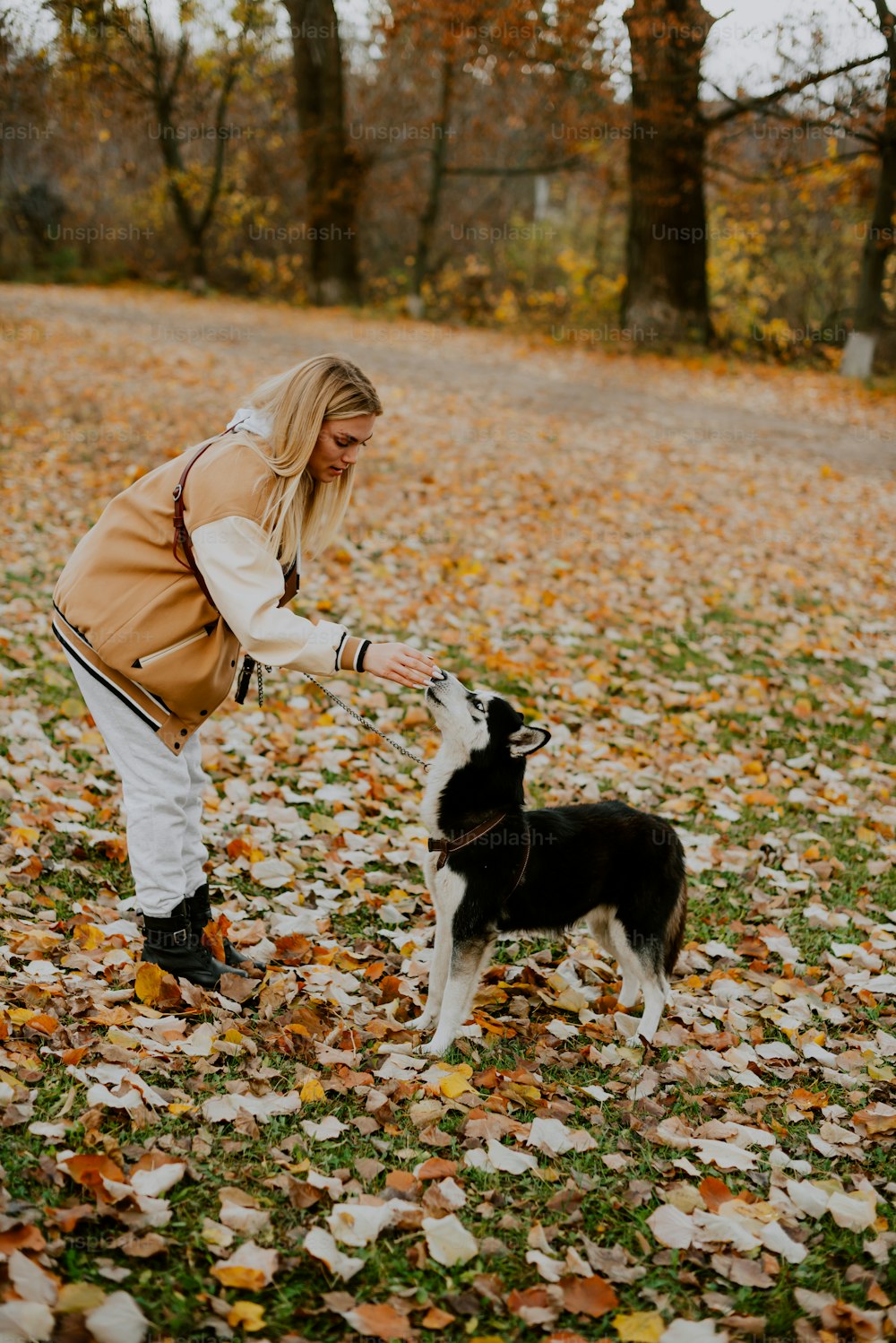 a woman is playing with a dog in the leaves