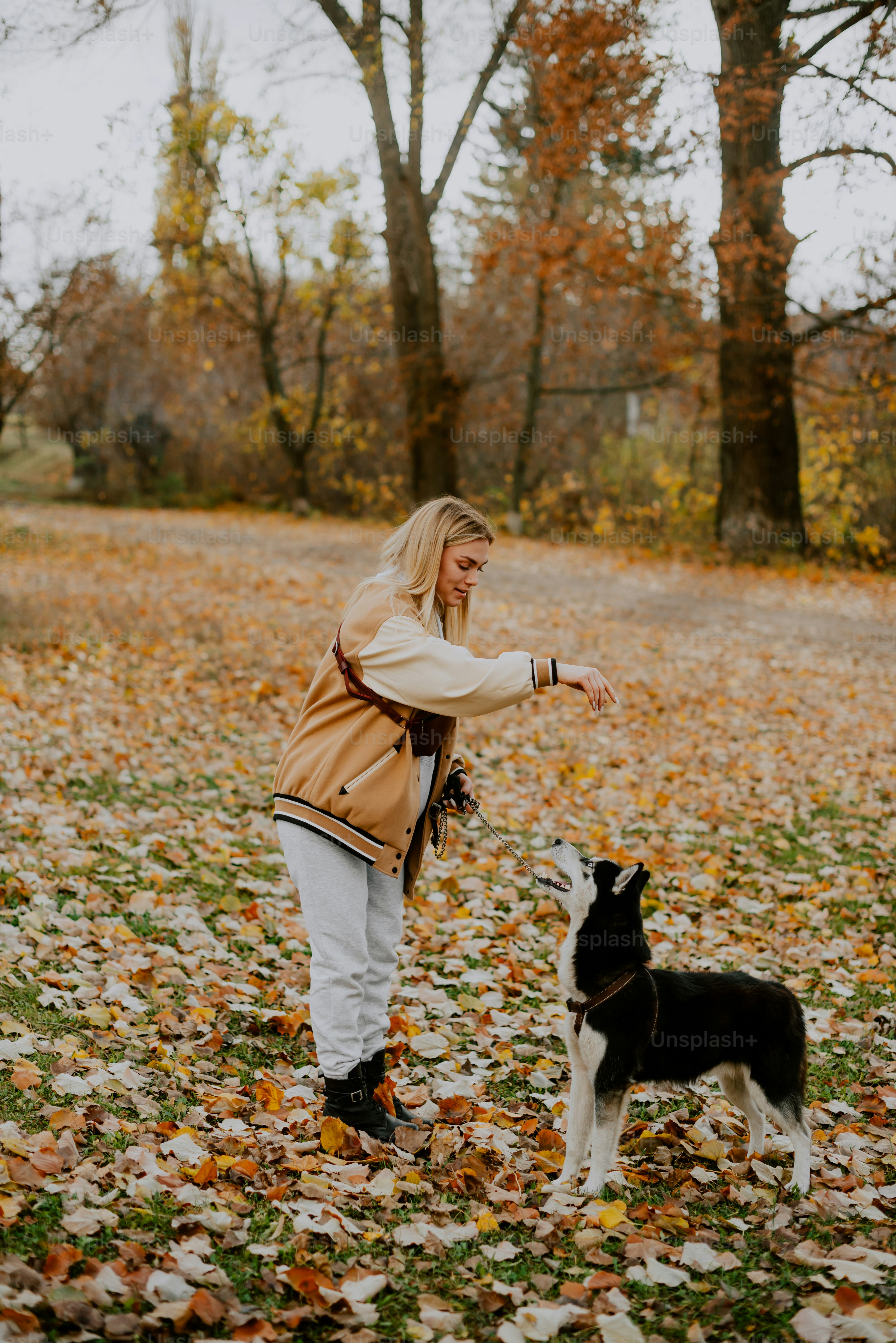 a woman is playing with a dog in the leaves