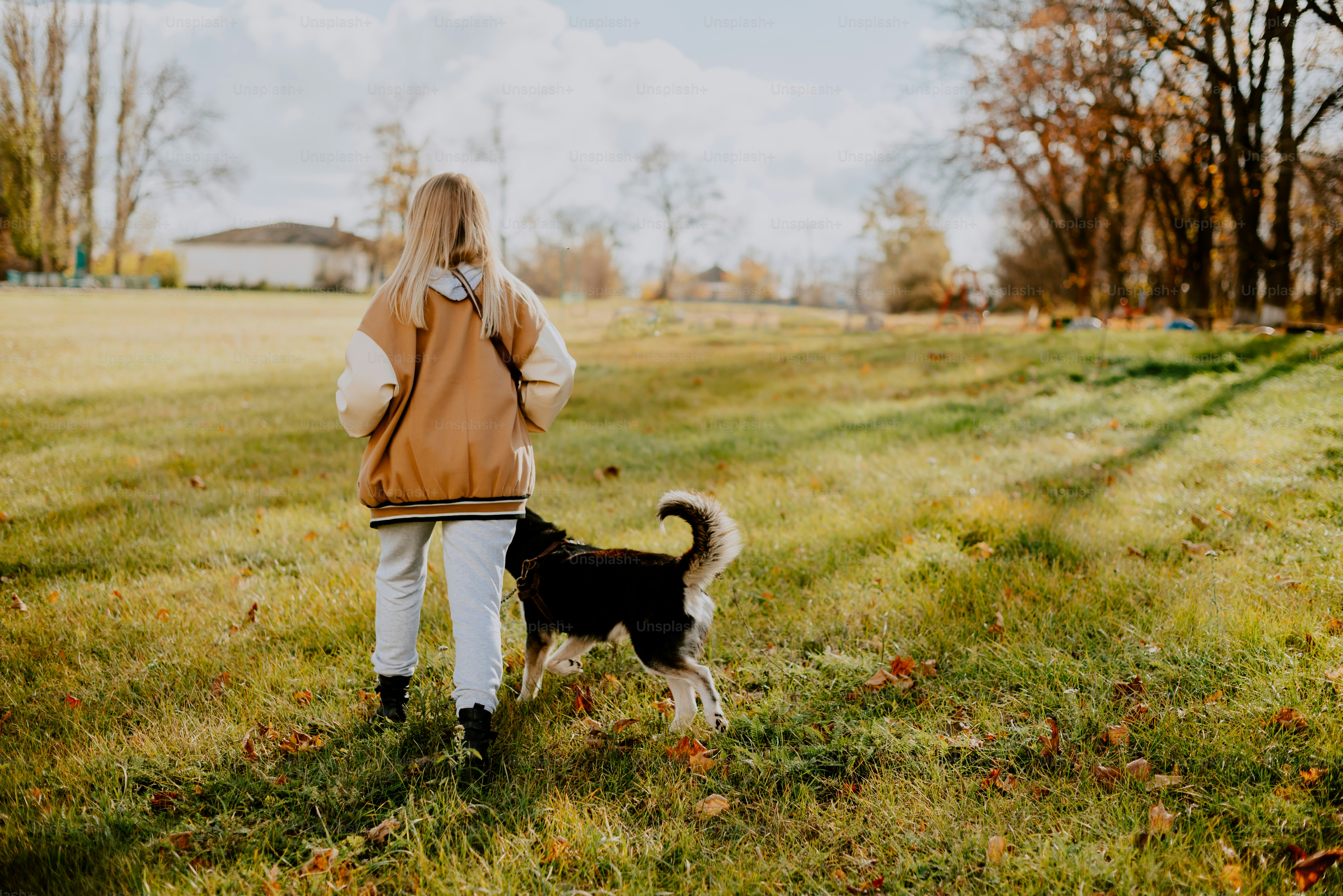 a woman walking a dog in a field
