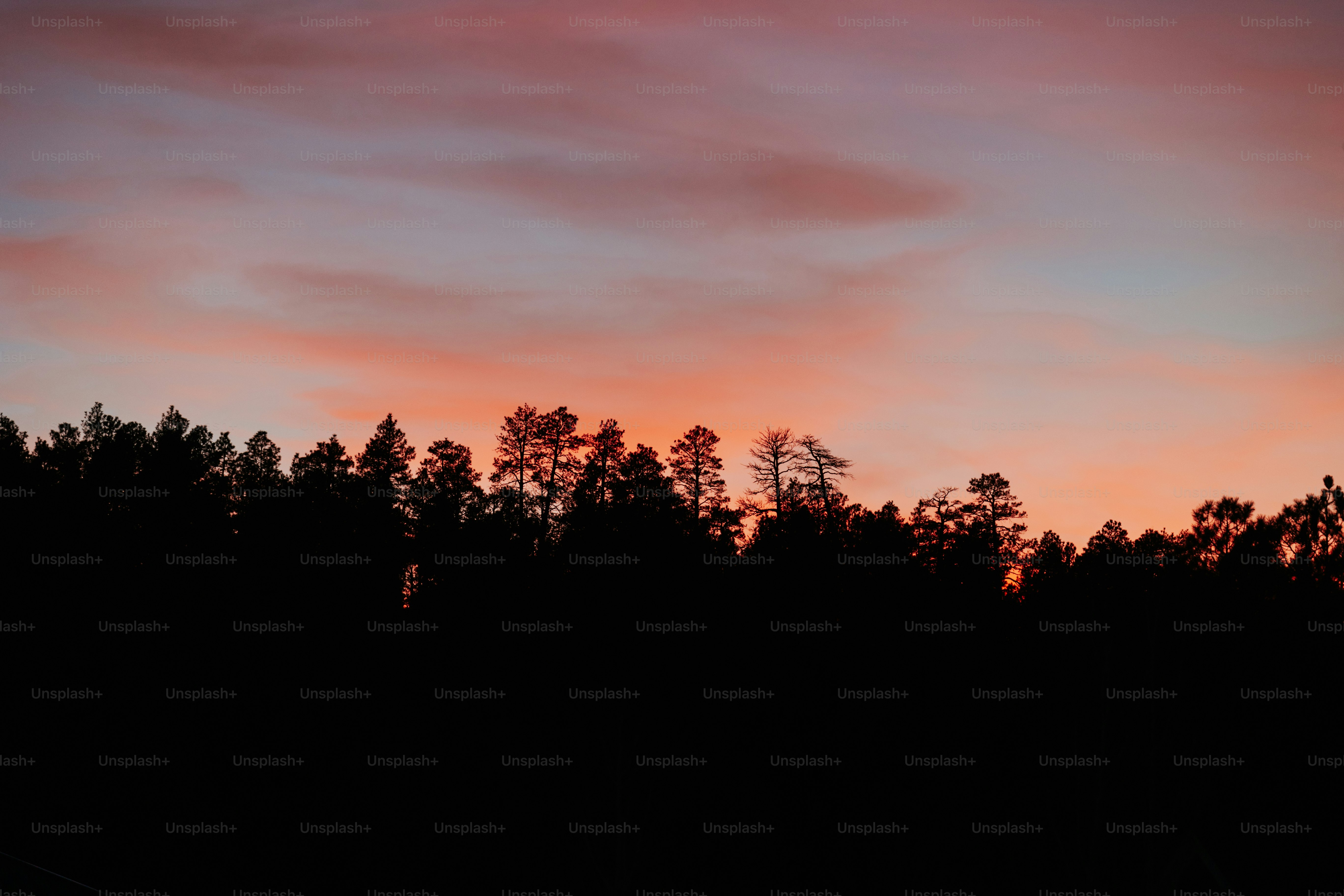 Der Himmel ist rosa und orange, wenn die Sonne untergeht