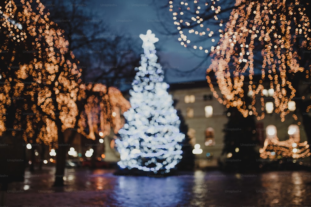 a lit christmas tree in the middle of a street