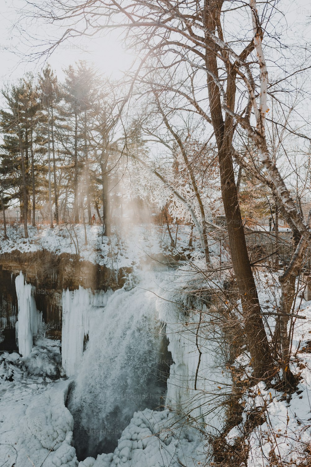 나무와 눈으로 둘러싸인 얼어붙은 폭포