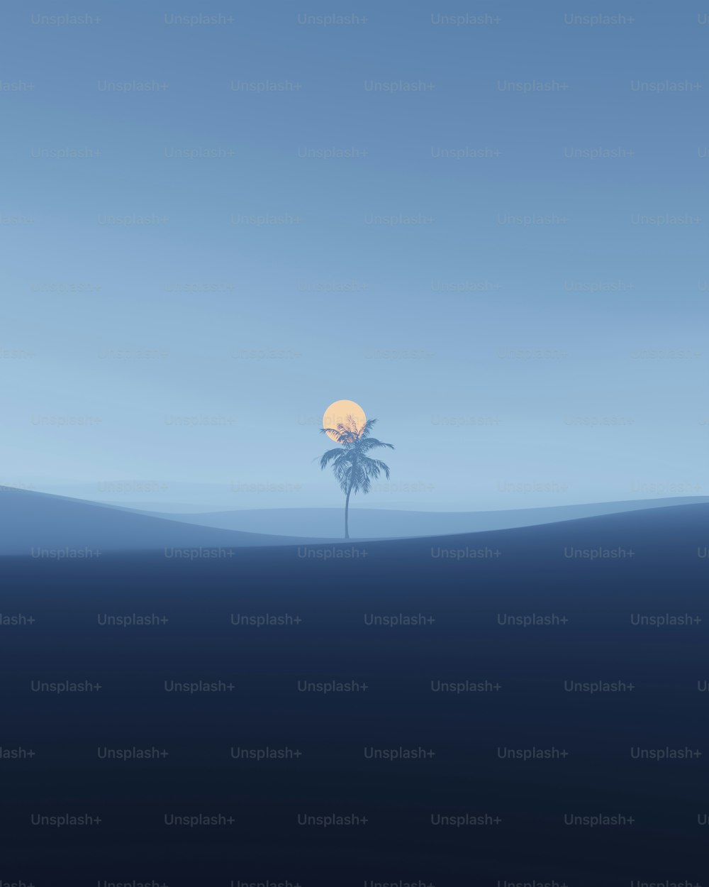 Una palmera solitaria en medio del océano