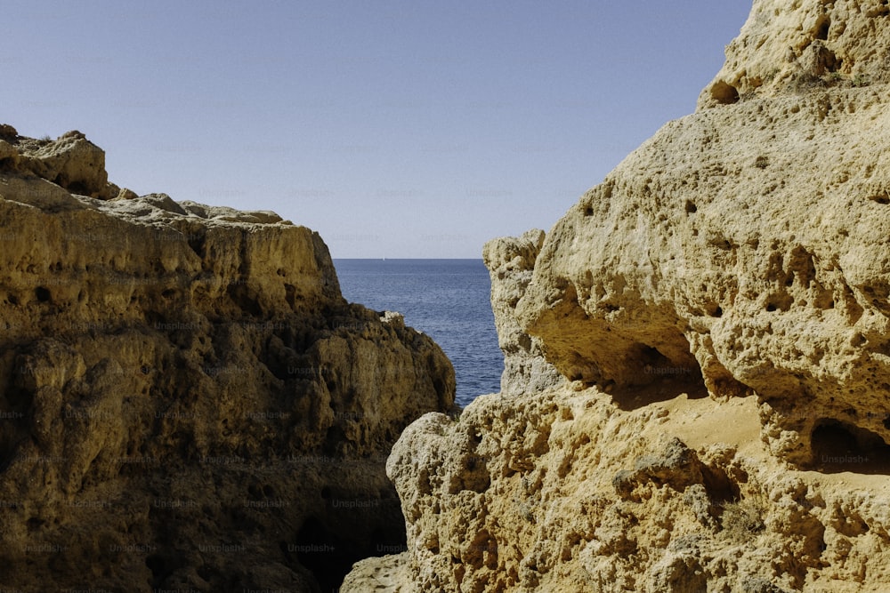 um pássaro sentado em uma rocha perto do oceano