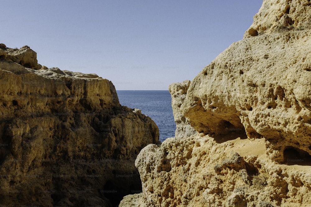 Un oiseau assis sur un rocher près de l’océan