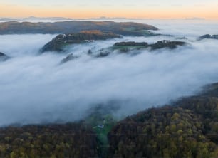 Vue aérienne d’une forêt couverte de nuages bas