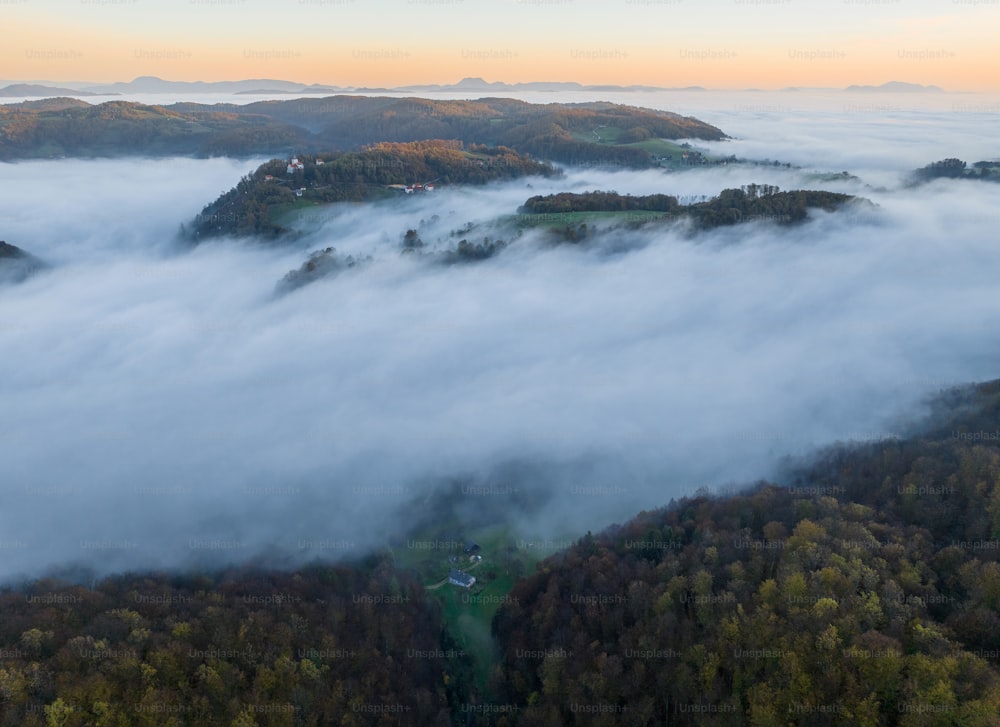 an aerial view of a forest covered in low lying clouds