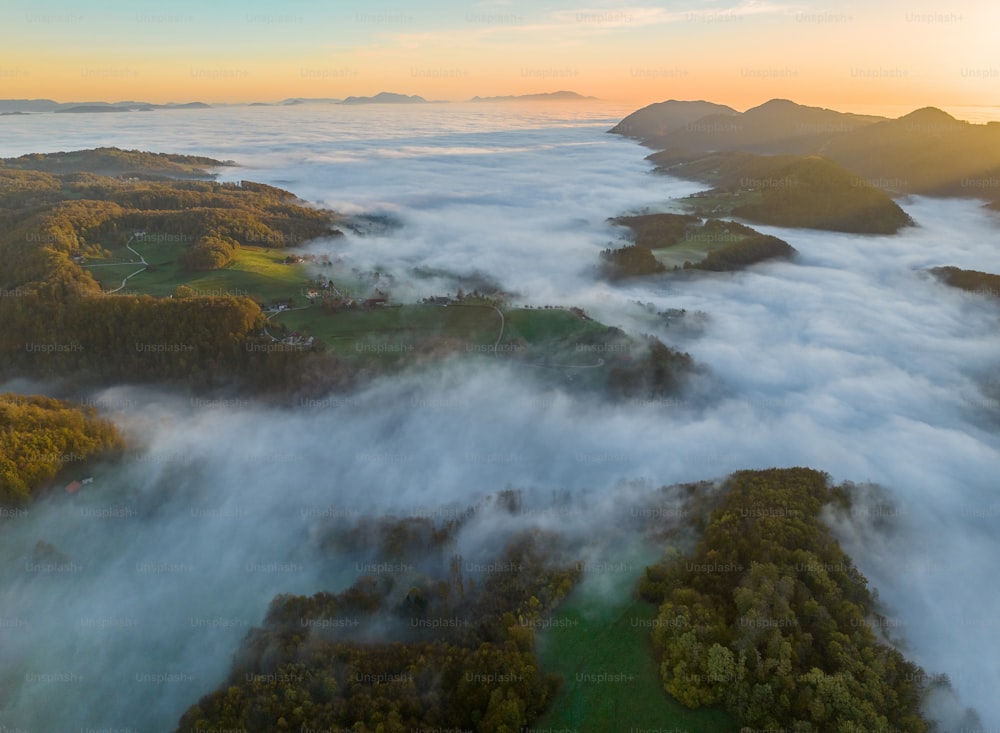an aerial view of a foggy valley with trees in the foreground