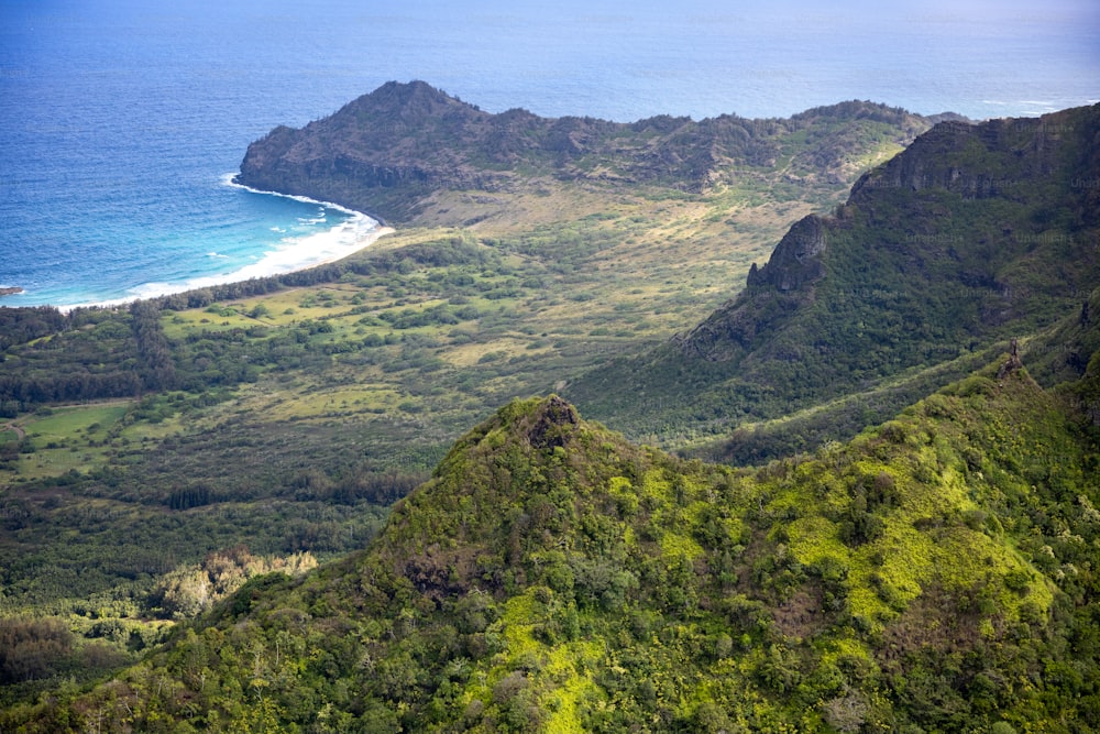 an aerial view of a lush green valley next to the ocean