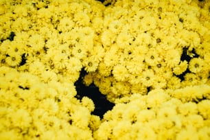 a bunch of yellow flowers sitting on top of a table