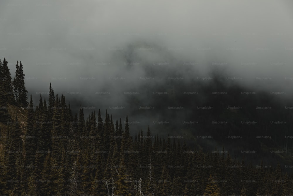 a mountain covered in fog and trees under a cloudy sky