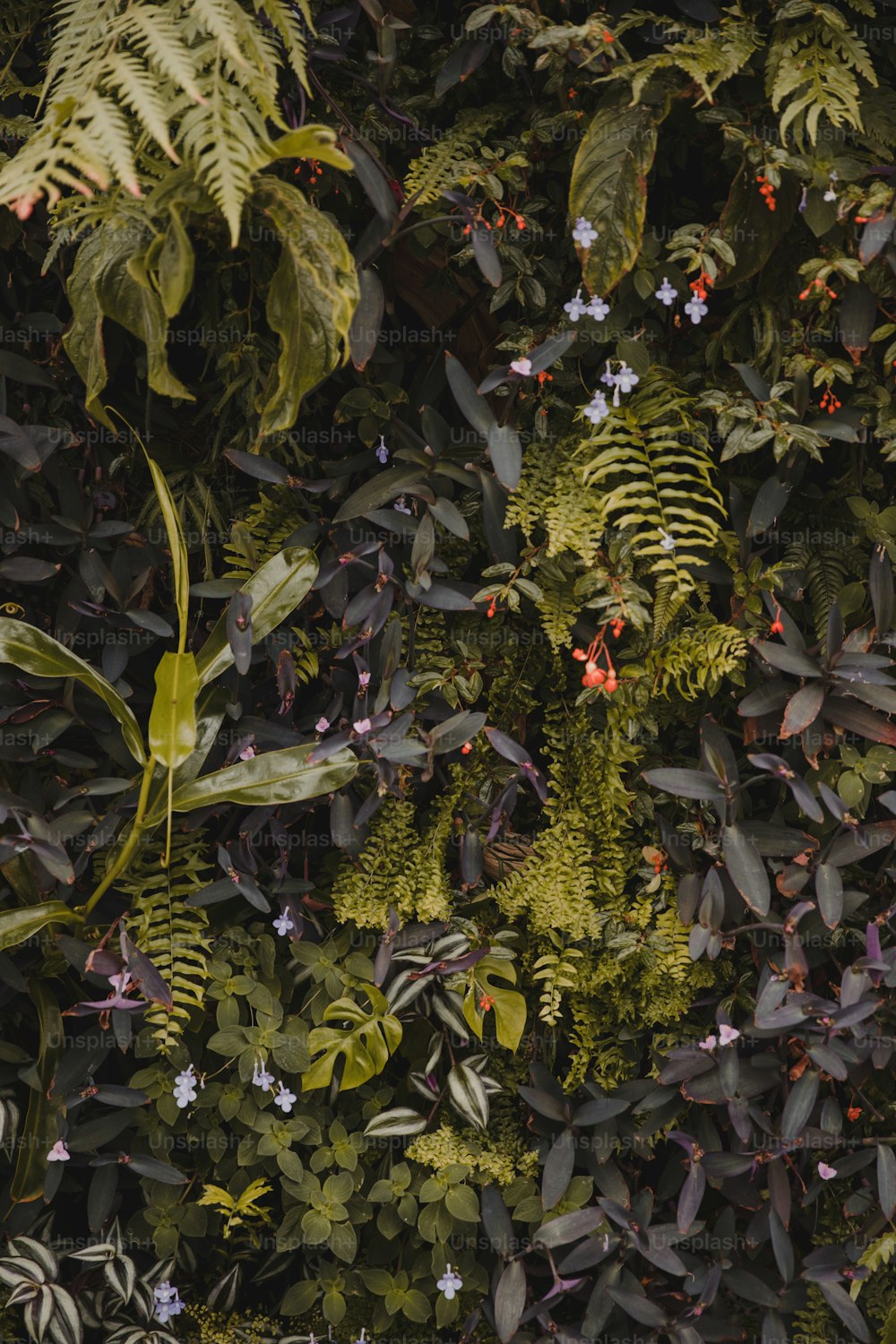 a bunch of plants that are next to each other