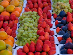 Eine Vielzahl von Früchten wird in Tabletts ausgestellt