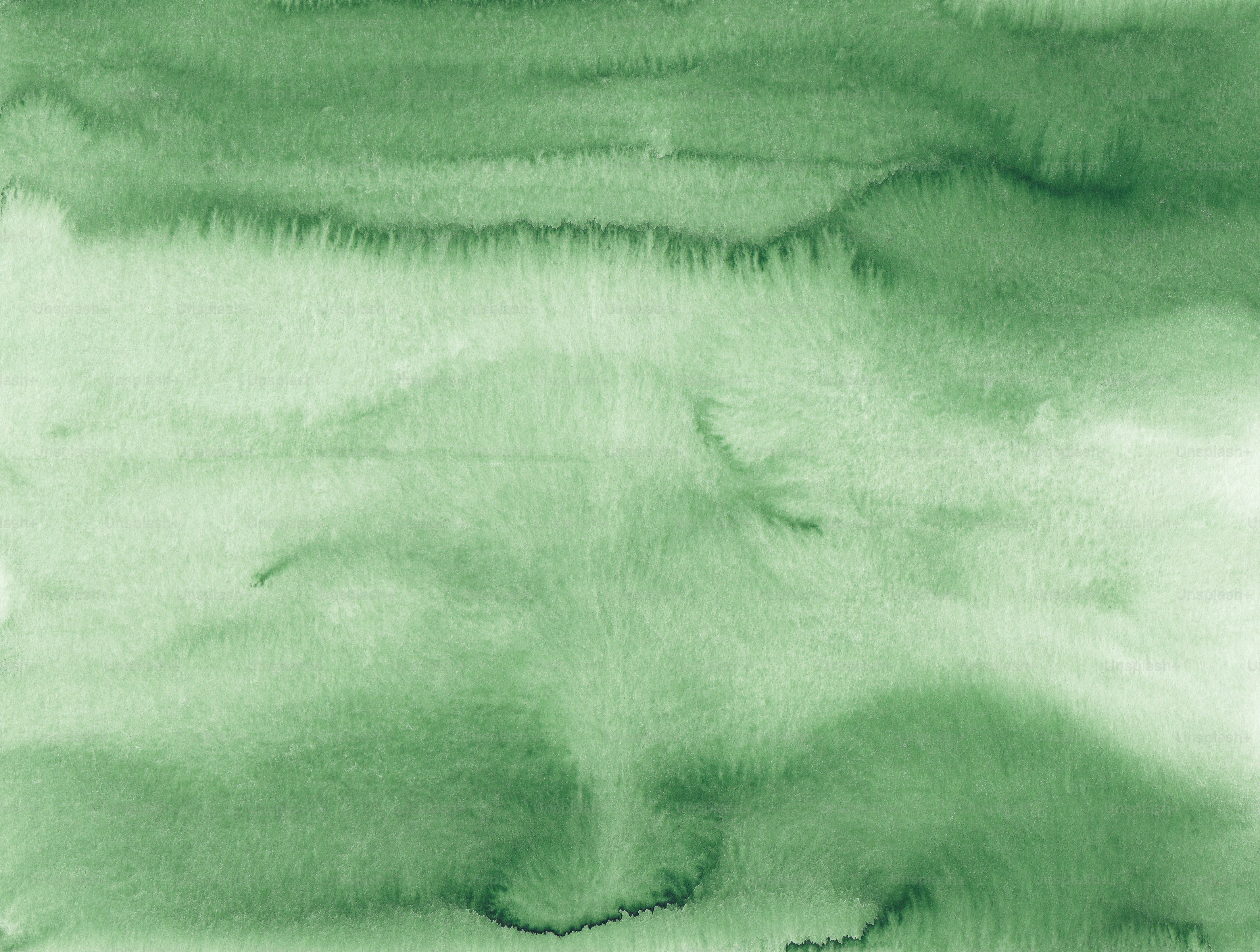 Green Wallpaper Pictures - by Unsplash Creators, image size:3000x2266