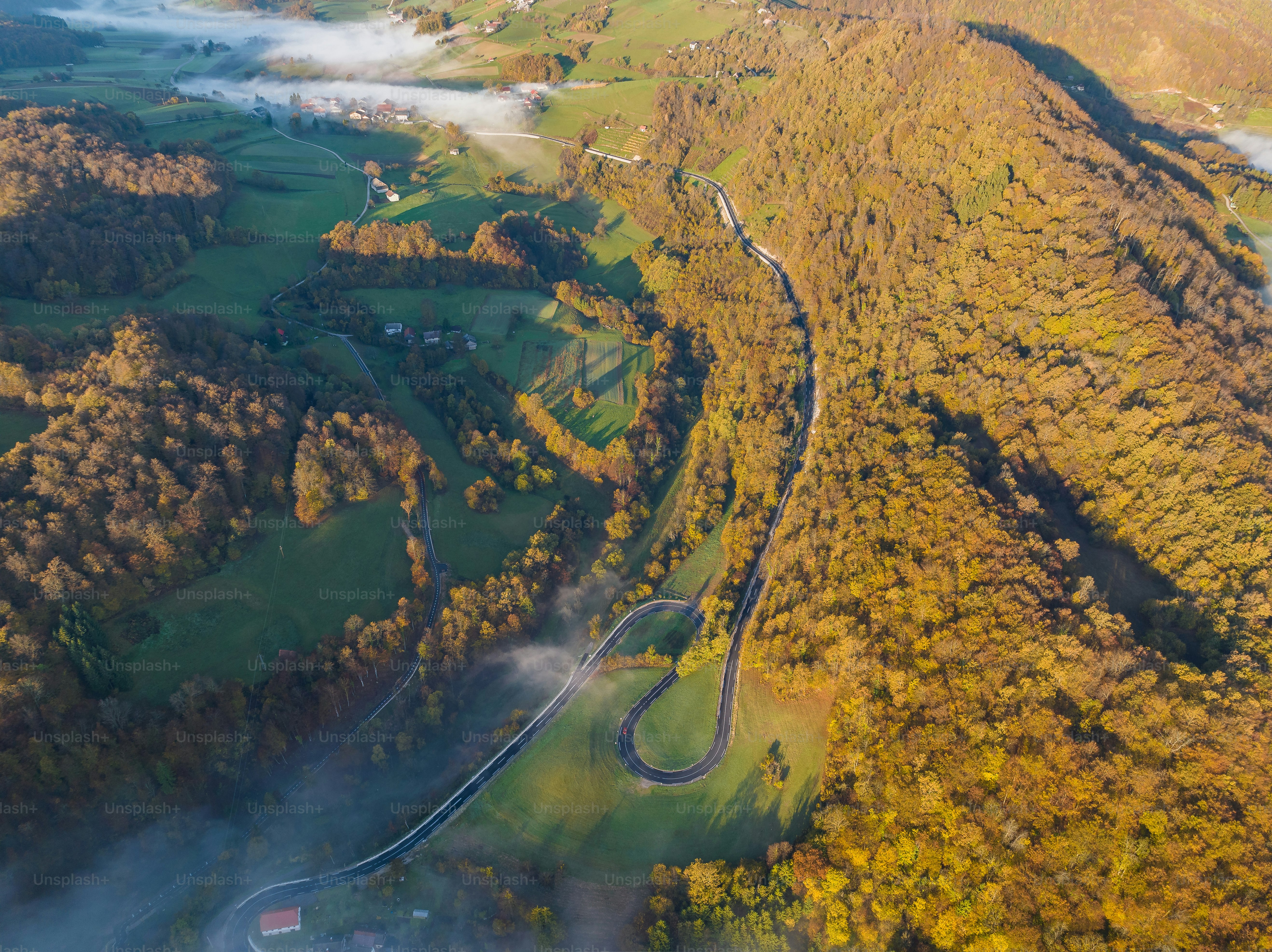 Vista aérea de uma estrada sinuosa cercada por árvores