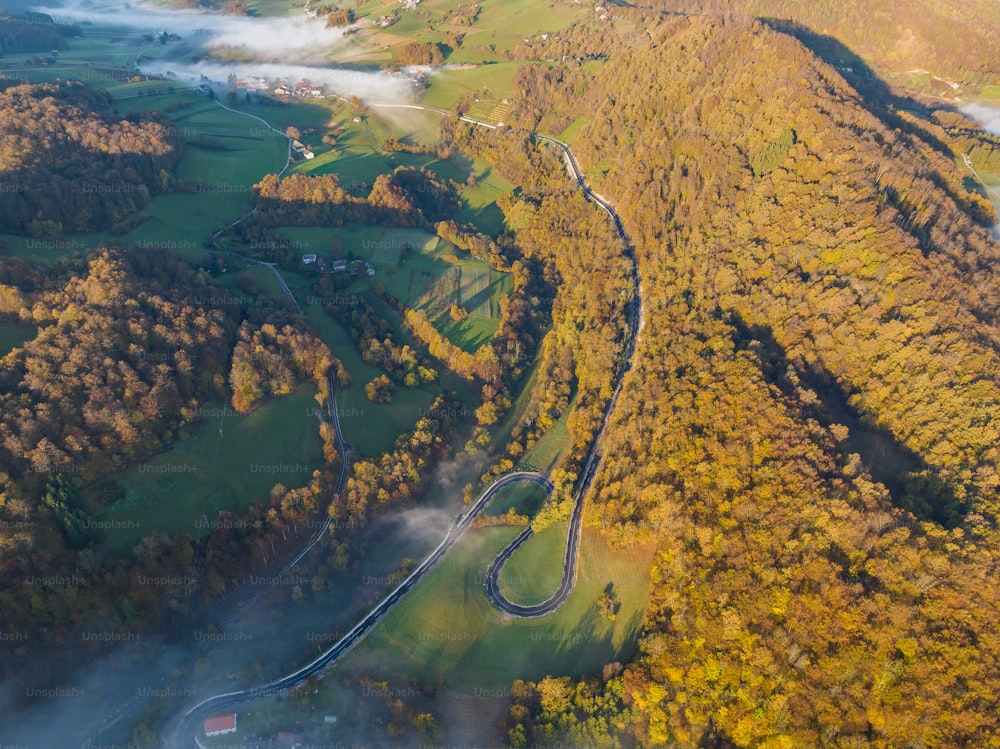 an aerial view of a winding road surrounded by trees