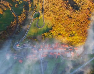 an aerial view of a road surrounded by trees