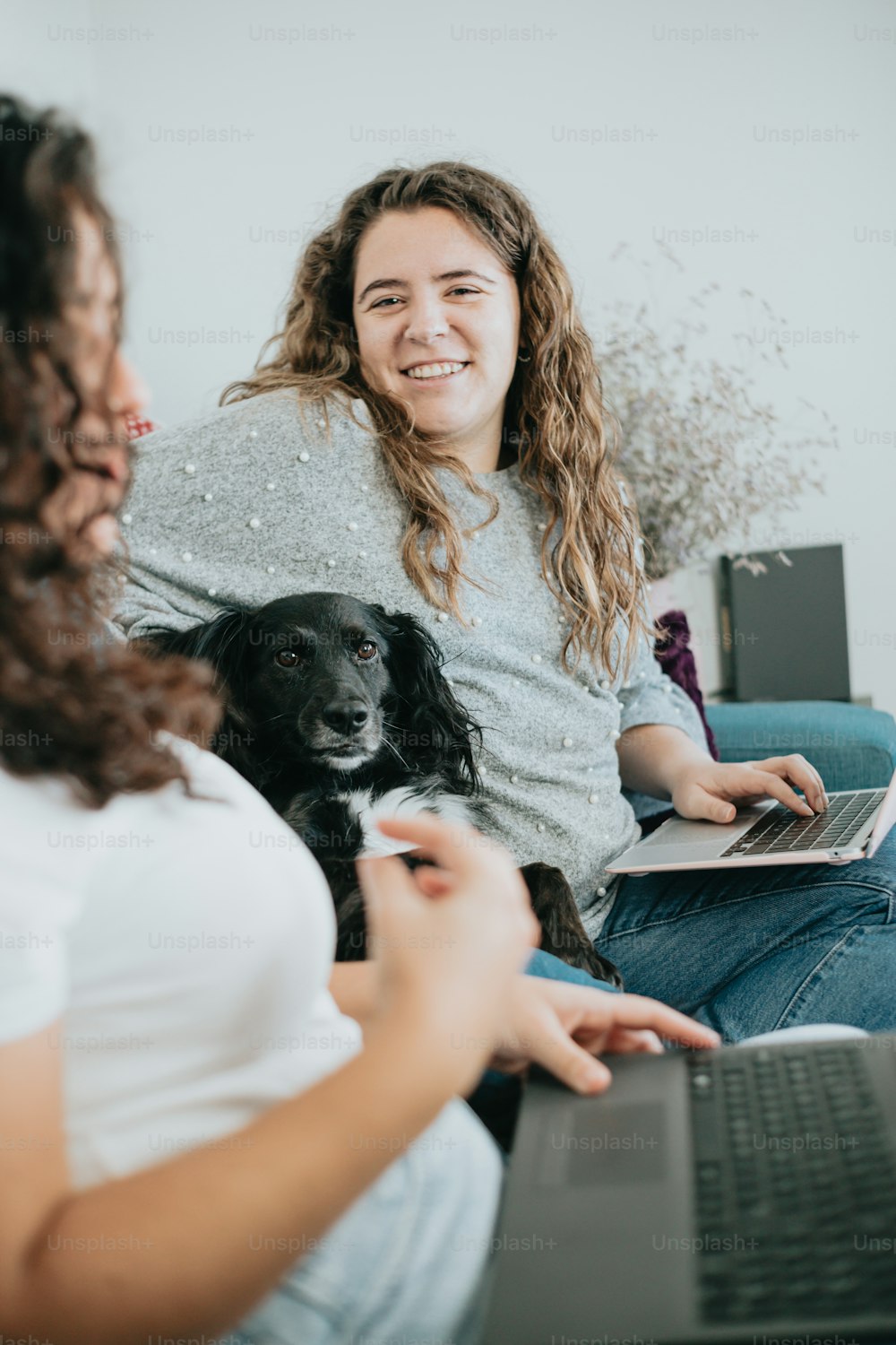 uma mulher sentada em um sofá com um laptop e um cachorro