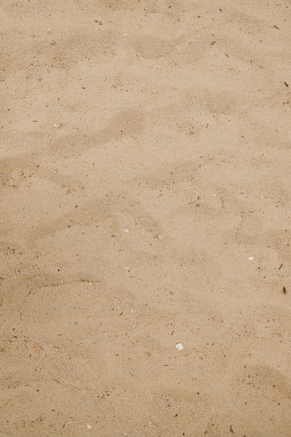 a baseball bat laying on top of a sandy field