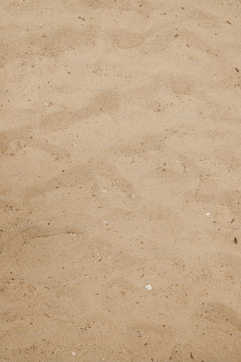 um taco de beisebol deitado em cima de um campo de areia