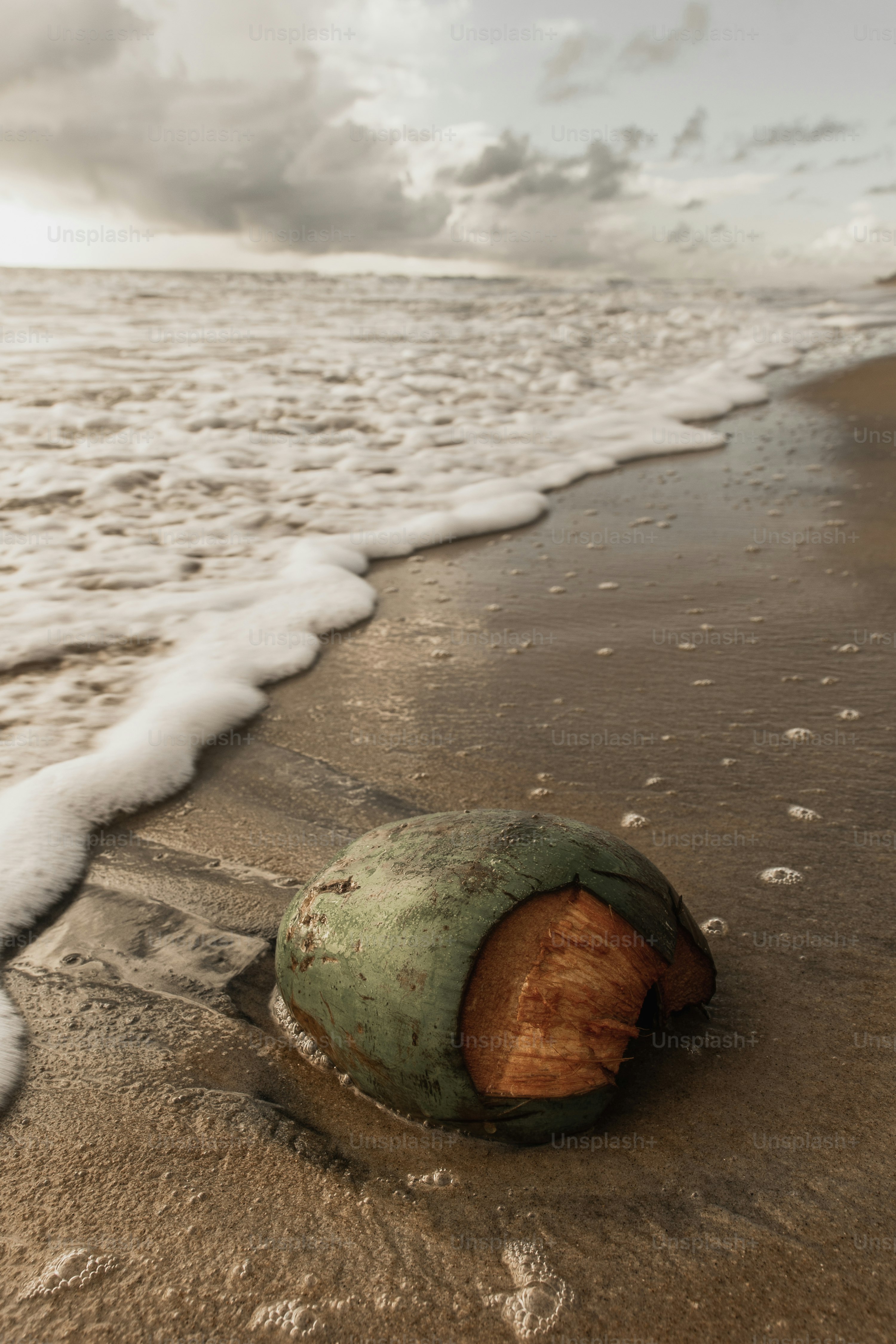 Un trozo de madera sentado en la parte superior de una playa de arena