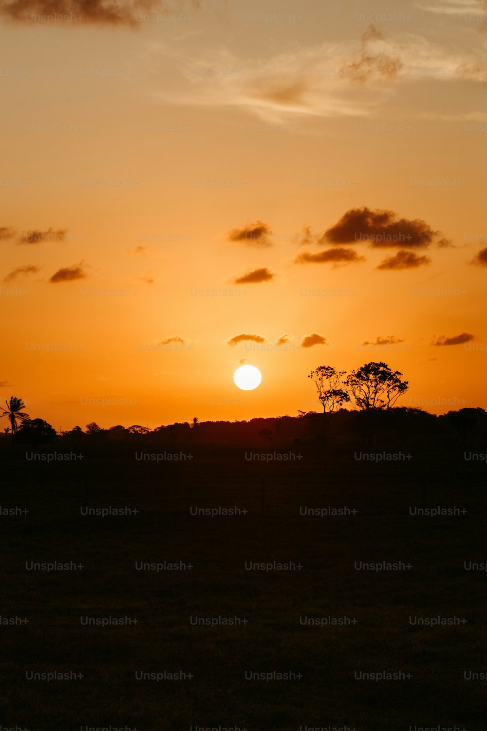 Il sole sta tramontando su un campo erboso
