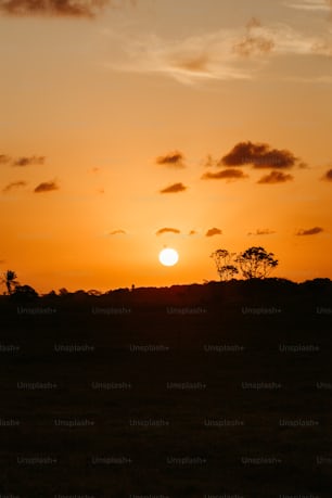 Il sole sta tramontando su un campo erboso