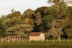 a barn in a field with trees in the background