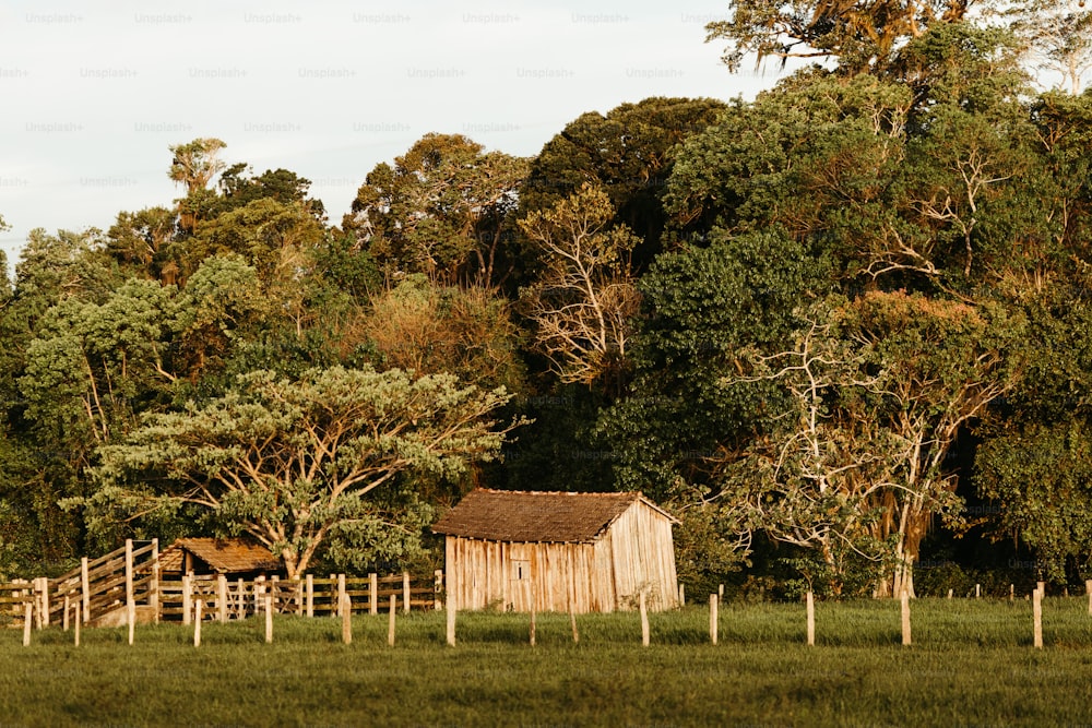 a barn in a field with trees in the background