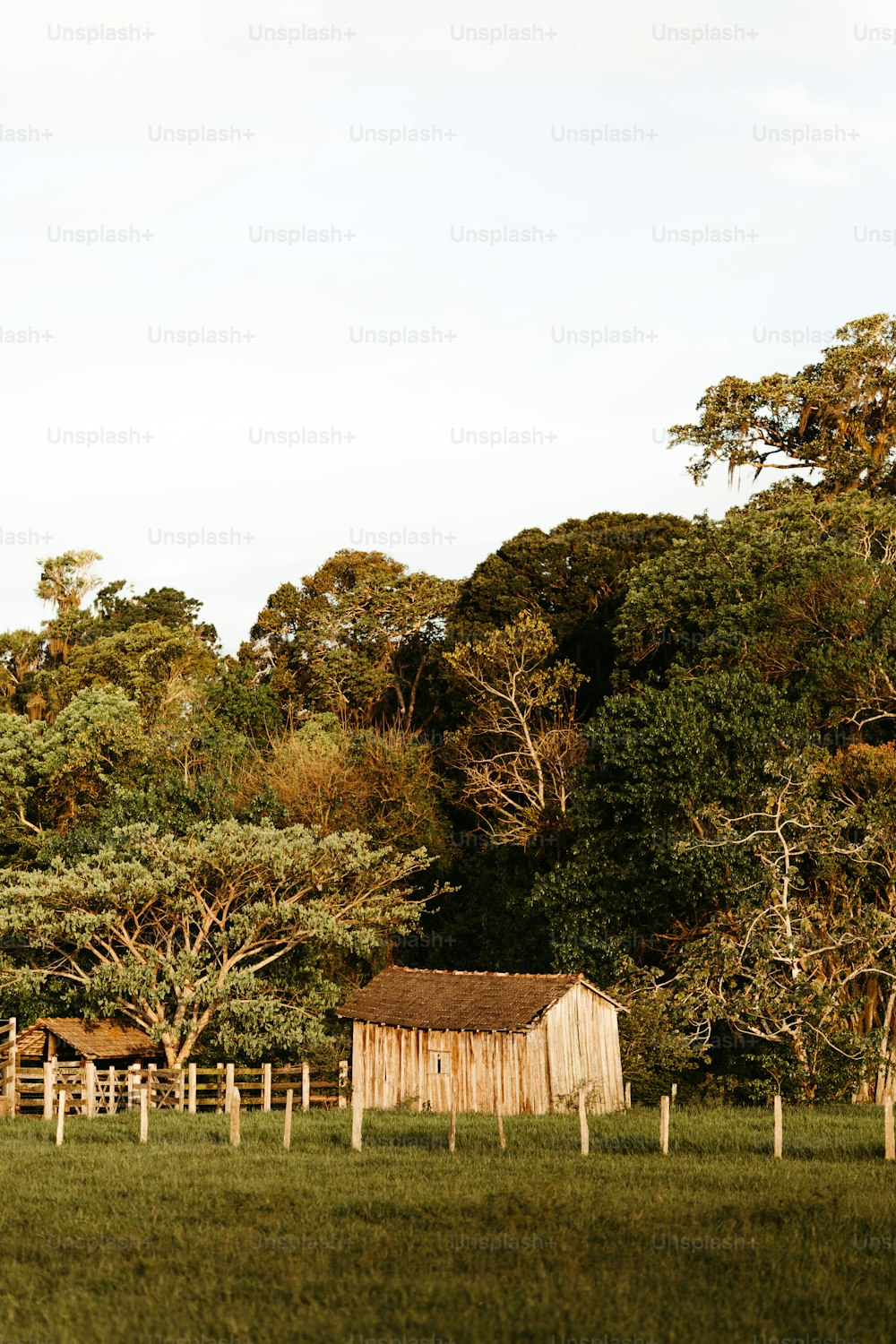 eine Scheune auf einem Feld mit Bäumen im Hintergrund