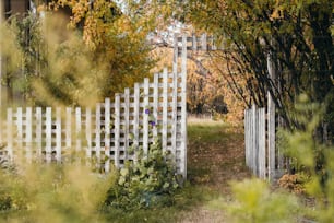 a white picket fence in the middle of a field