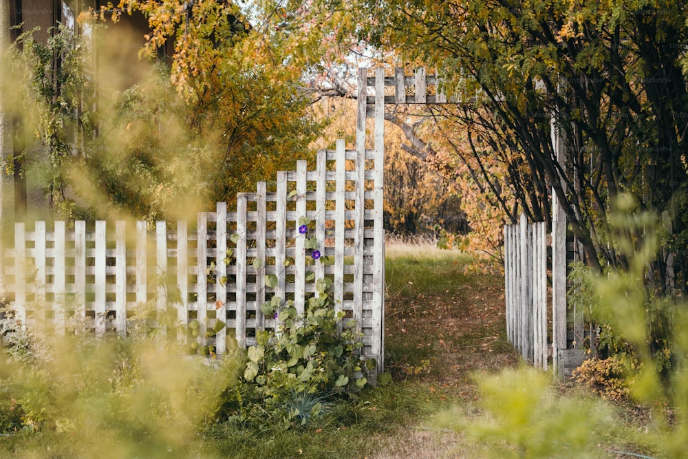 a white picket fence in the middle of a field