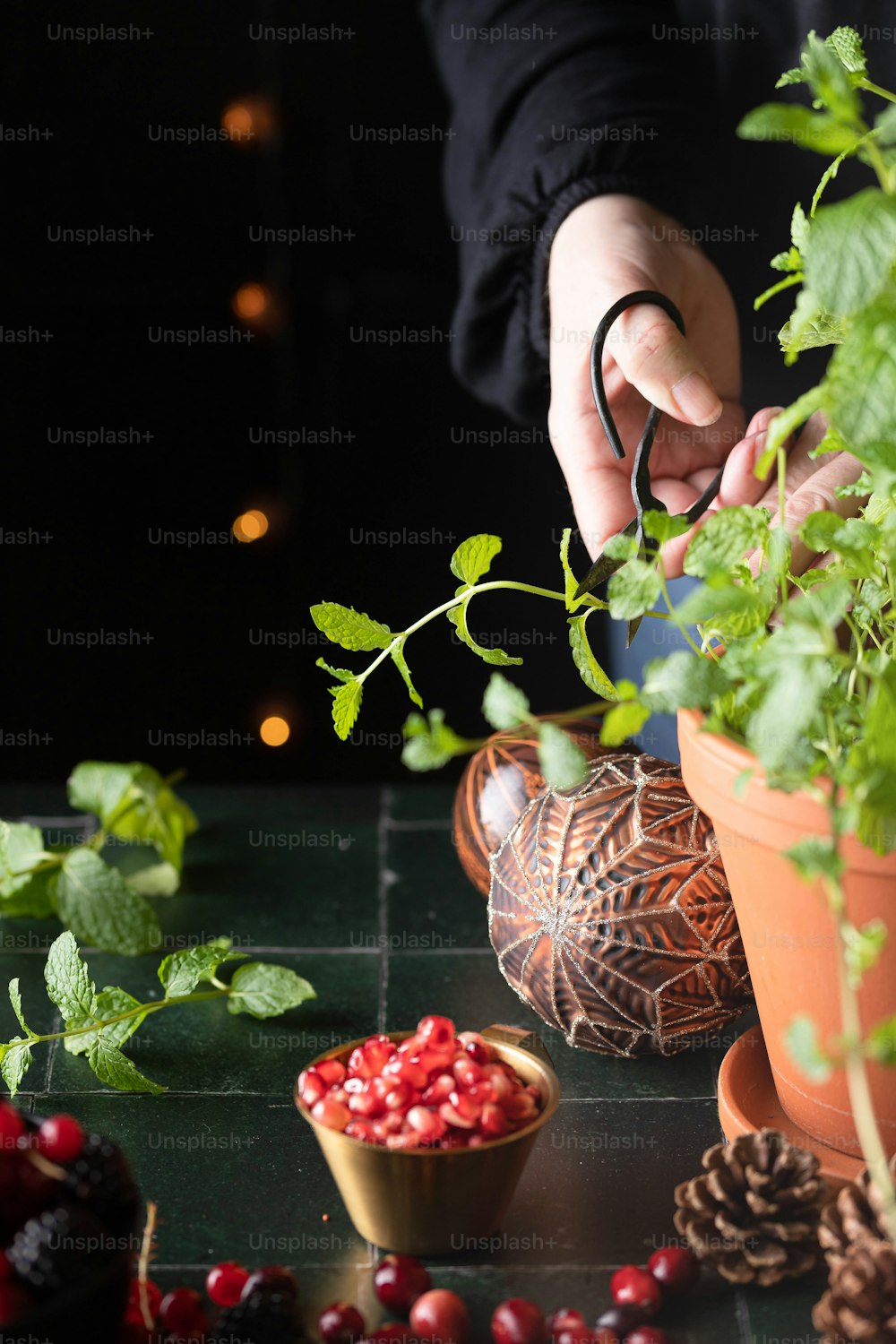 une personne coupant une plante avec des ciseaux sur une table