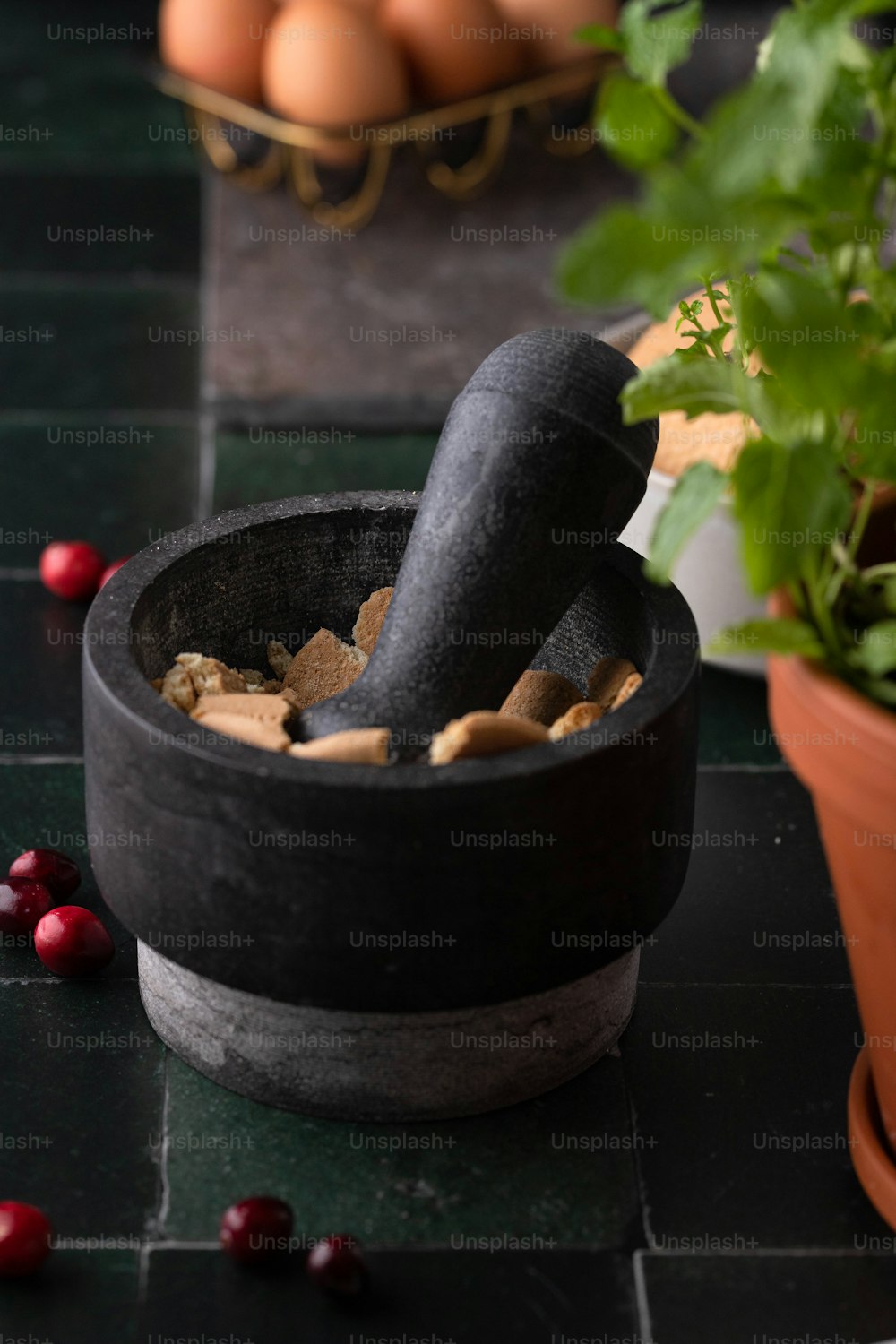 un mortaio e mortaio in una ciotola accanto a una pianta in vaso