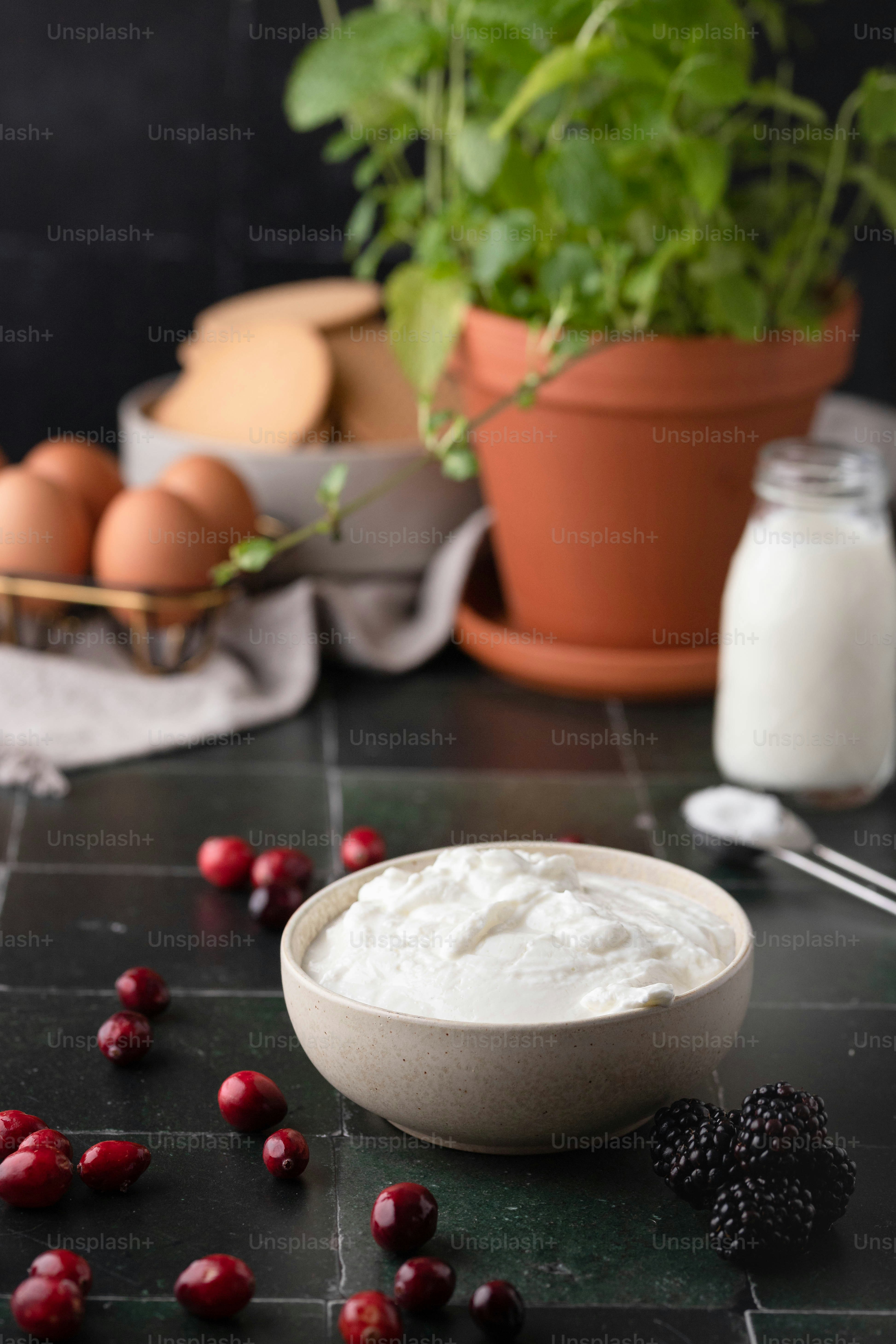 a bowl of yogurt next to a potted plant