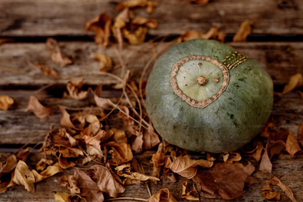 a green pumpkin sitting on top of a wooden table
