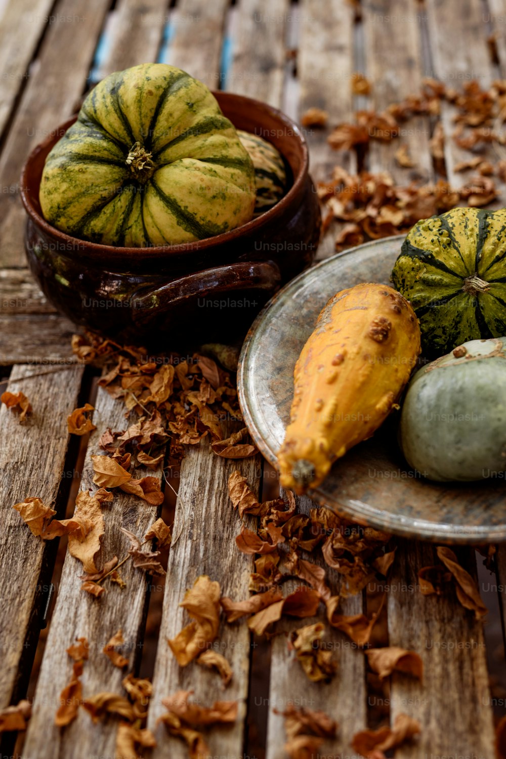 a plate of squash and gourds on a wooden table