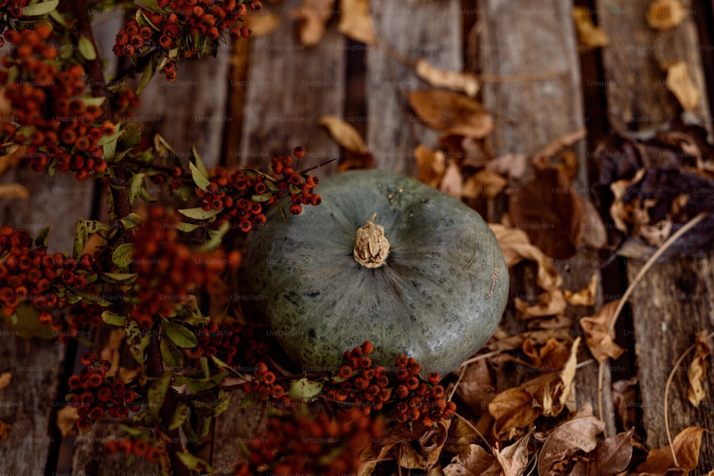 a blue pumpkin sitting on top of a wooden floor