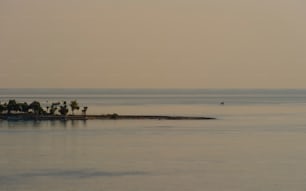 a large body of water with palm trees in the distance