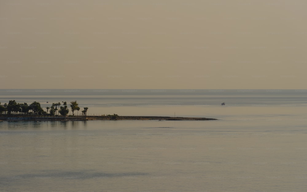 a large body of water with palm trees in the distance