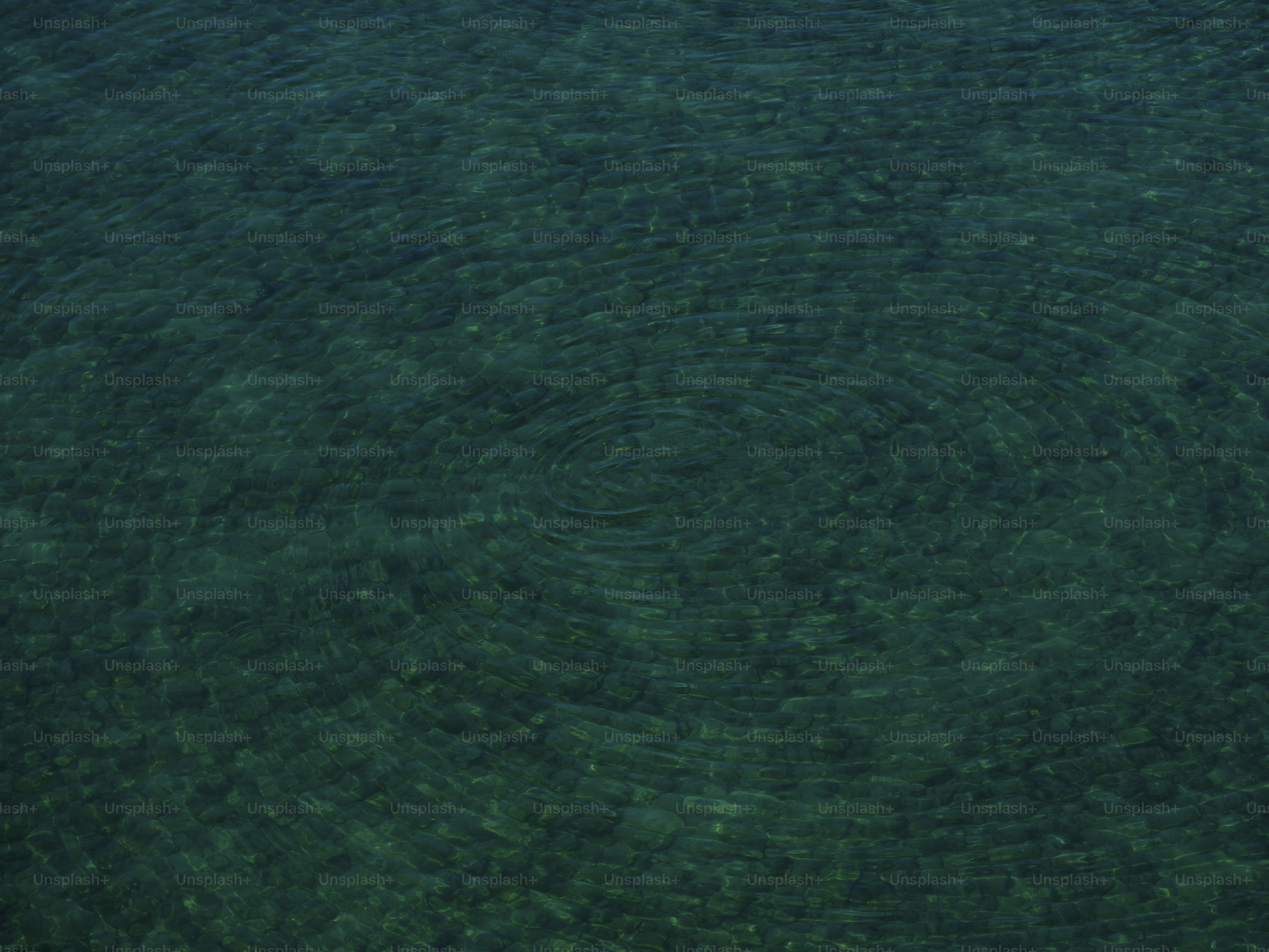 Wave Background Pictures | Download Free Images on Unsplash