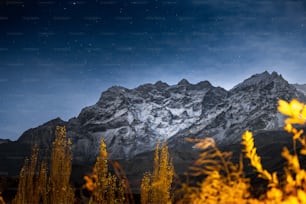 Una vista di una montagna innevata di notte