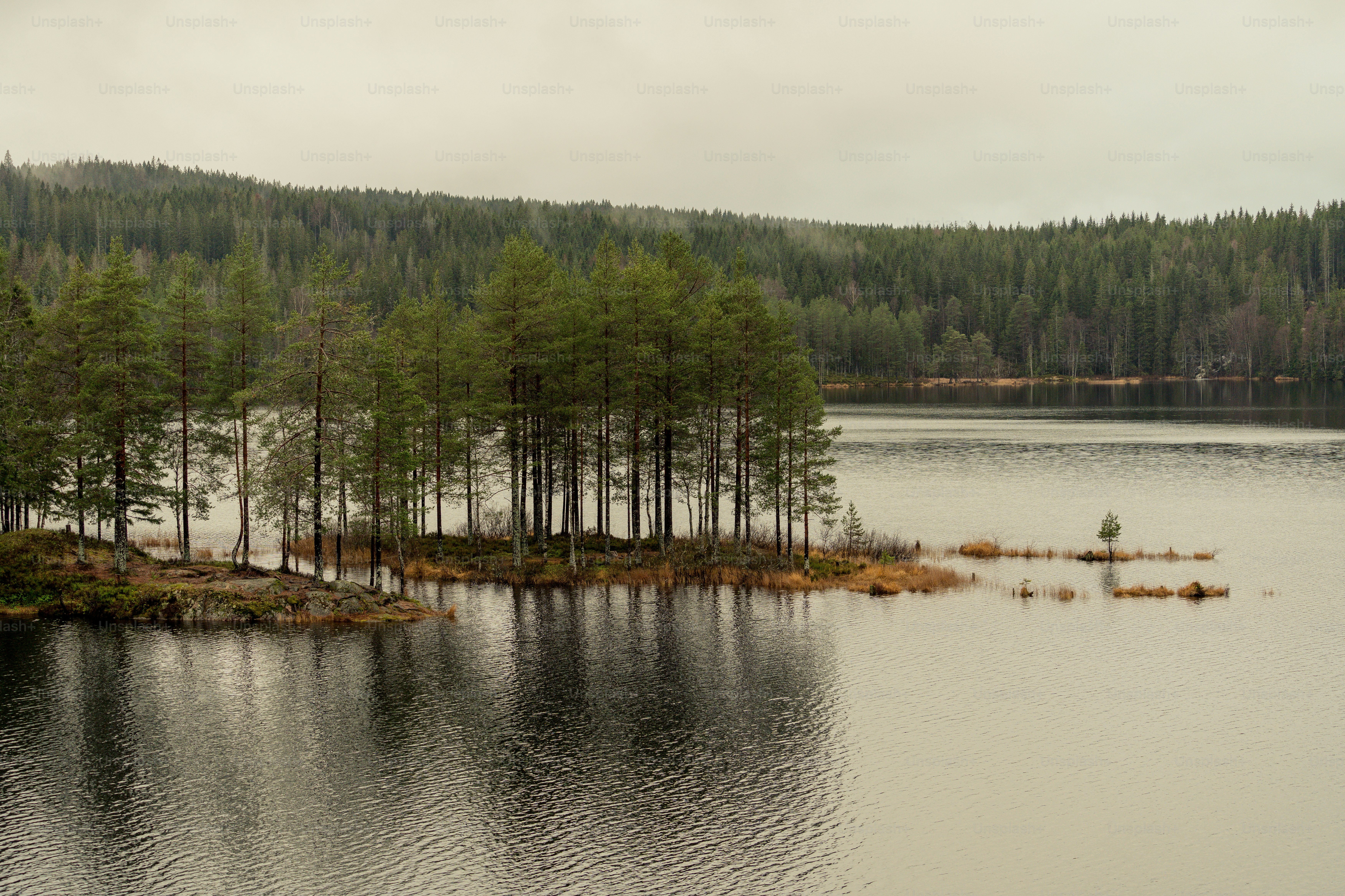 Whiteface Reservoir, Minnesota