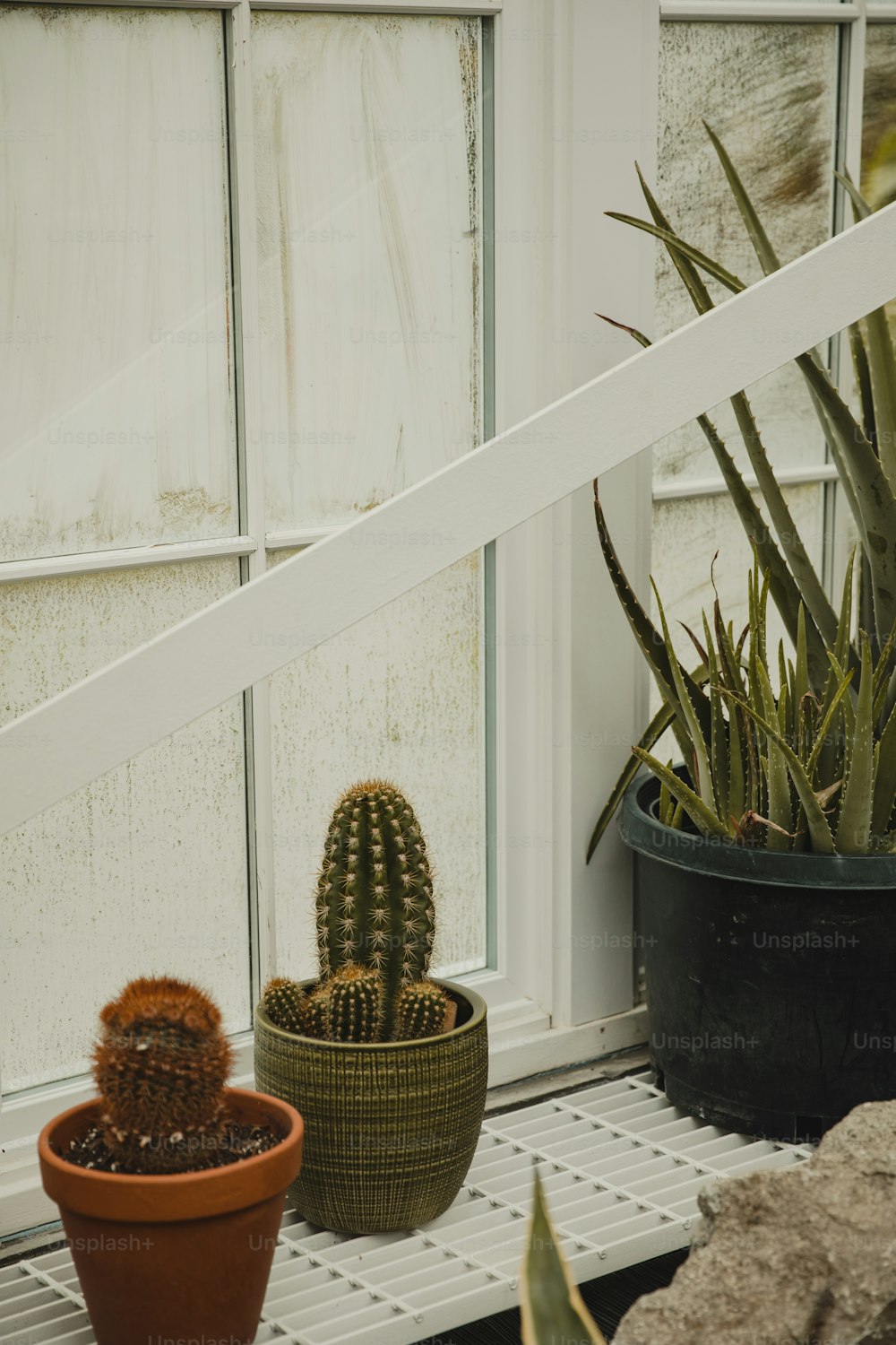 a couple of plants that are sitting on a window sill