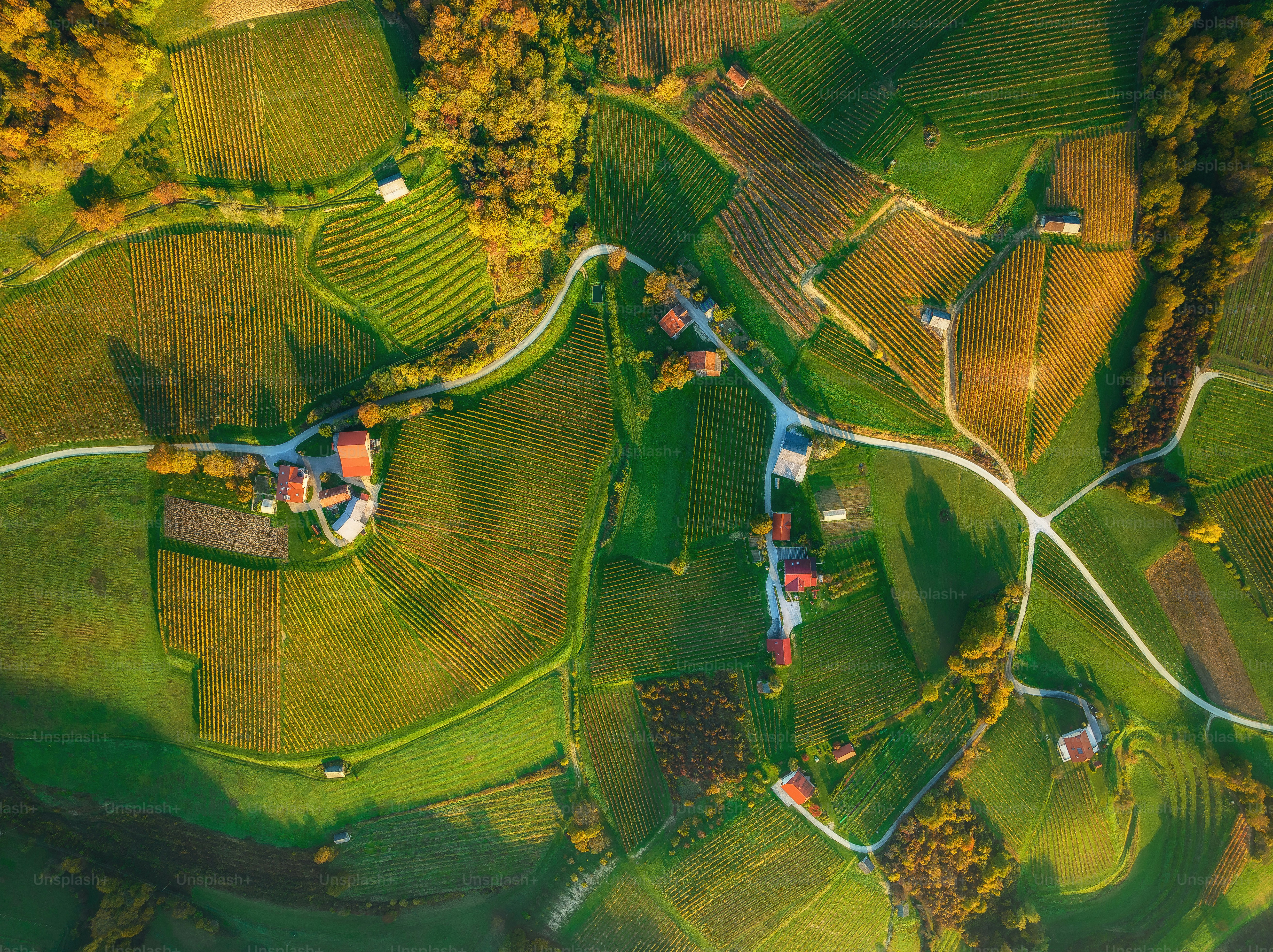 an aerial view of a rural countryside