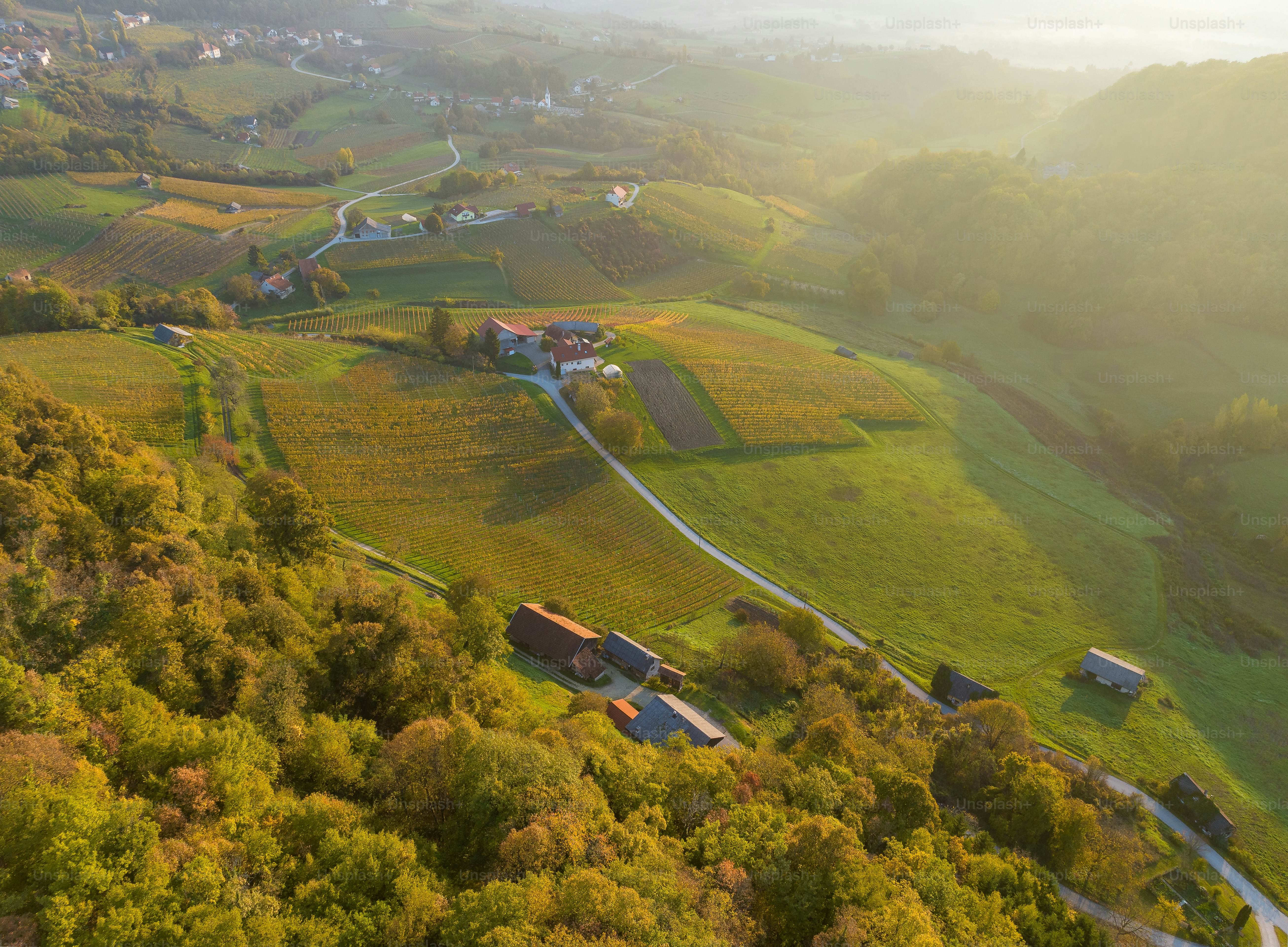 an aerial view of a rural area with houses and trees