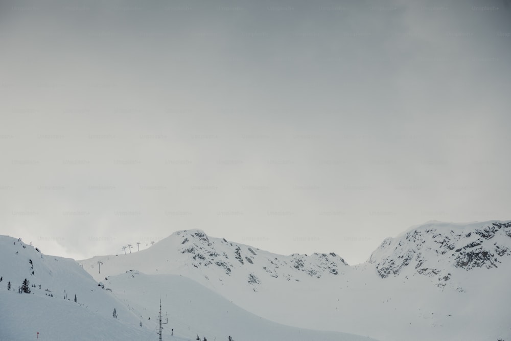 Eine Gruppe von Leuten fährt mit Skiern einen schneebedeckten Hang hinunter