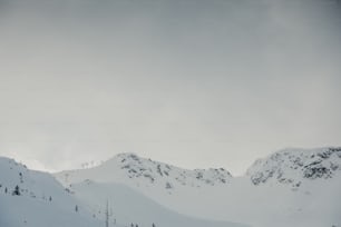 눈 덮인 슬로프를 따라 스키를 타는 한 무리의 사람들