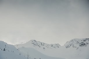 a group of people riding skis down a snow covered slope