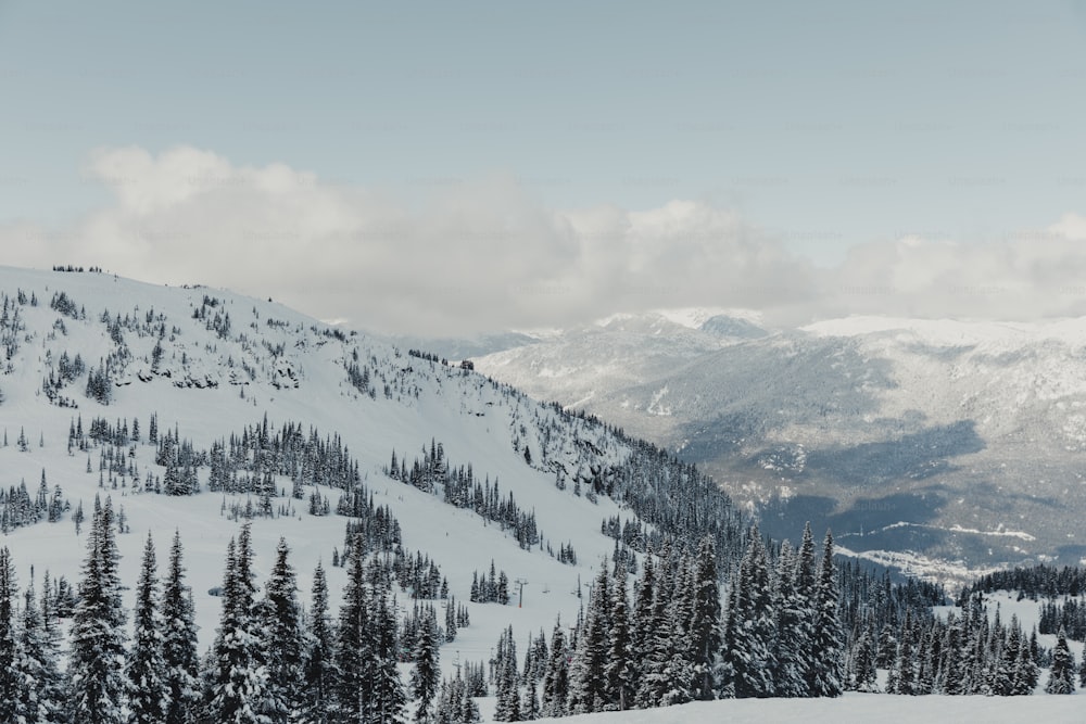 a snow covered mountain with trees on it